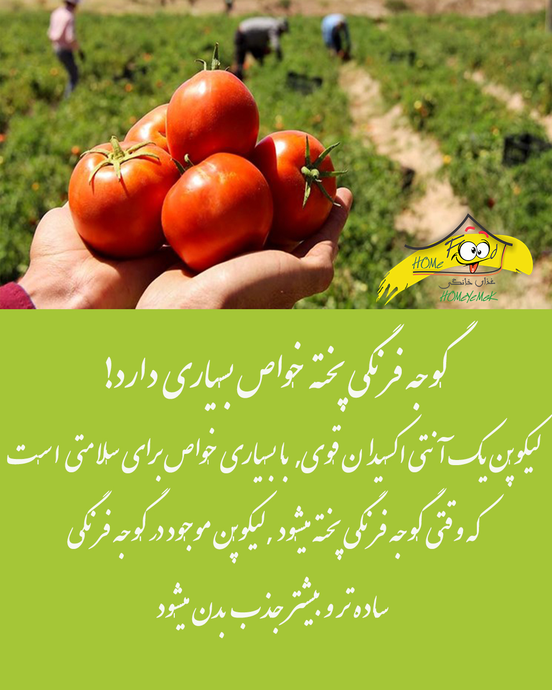 لیکوپن